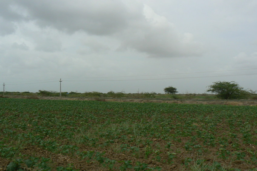 Facing North from the point