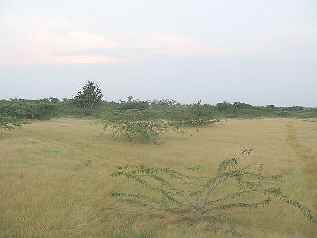 Viewing North of confluence - 23°N 70°E