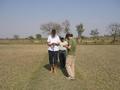 #6: Walking along the irrigation mounds so as not to disturb the crops