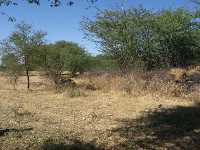 View Of The Confluence