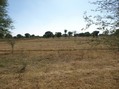 #3: View From Confluence To The South