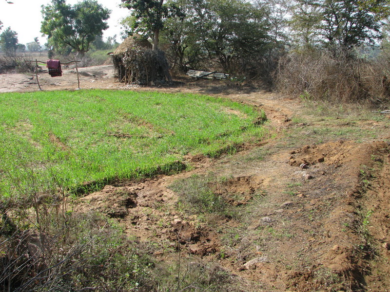 View of the confluence farm land, with the nearby hut.