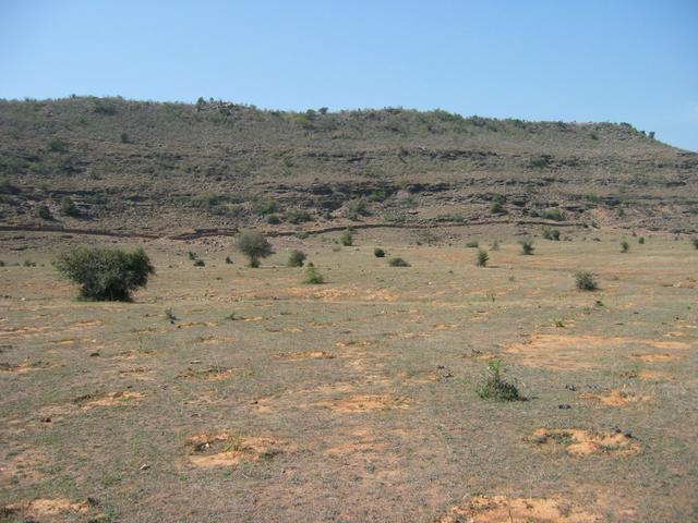 Looking North from the confluence point