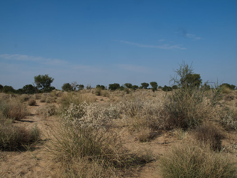 View from Confluence to the North