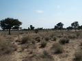 #3: View from Confluence to the South