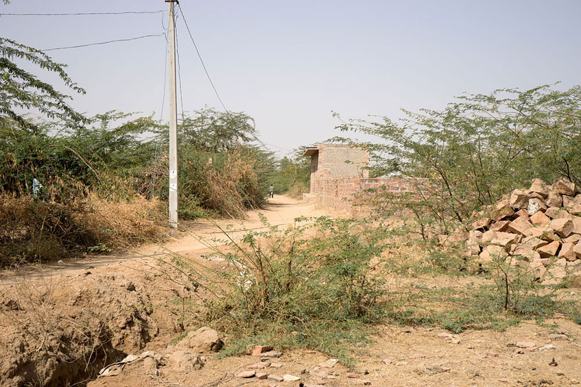 Street outside the courtyard, looking West (The confluence is behind the wall of tree branches on the far right.)