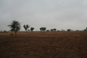 #3: View of North from Confluence Point