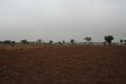 #4: View of East from Confluence Point