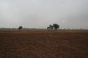 #5: View of South from Confluence Point