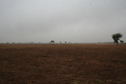 #6: View of West from Confluence Point