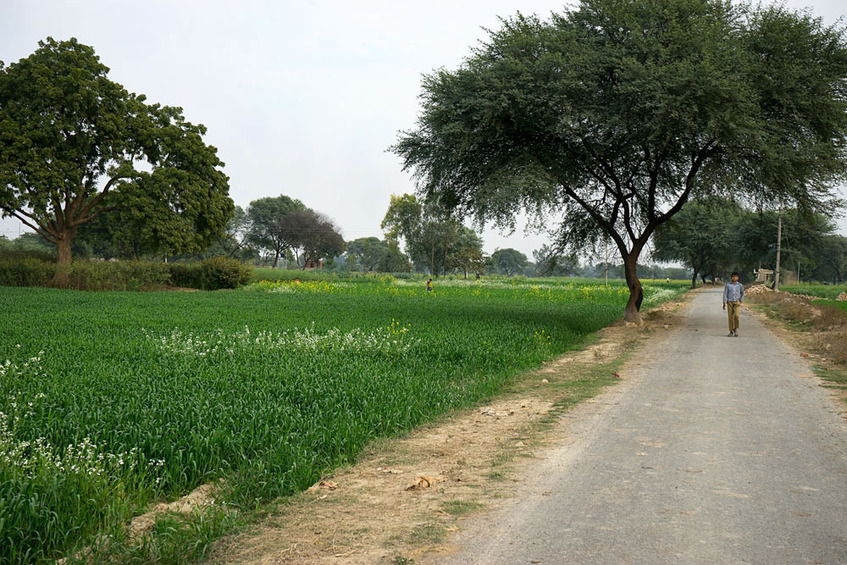 View to the West from the Confluence