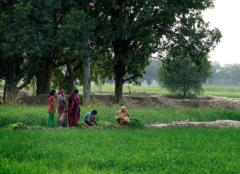 People working in the field near the confluence.