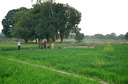 #4: View to the East from the Confluence