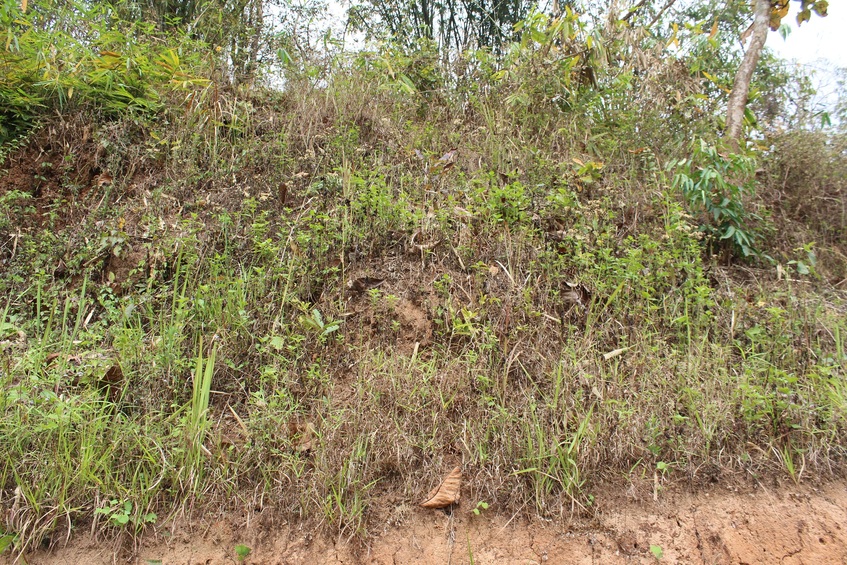 View towards North from the Confluence, only the hill slope