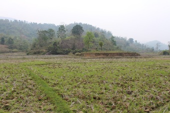 #1: View towards South from the Confluence, farm lands with hillocks