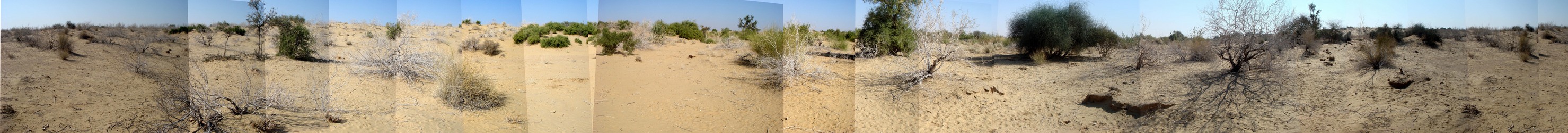 Panorama view from the confluence