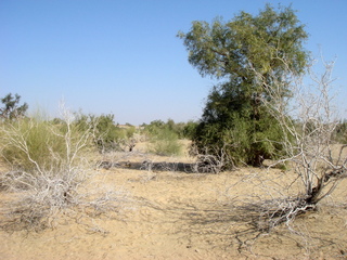 #1: 27N 71E in the great Thar desert