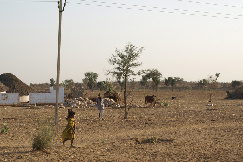 View Of Confluence (Center Of Photo, Behind Cow)