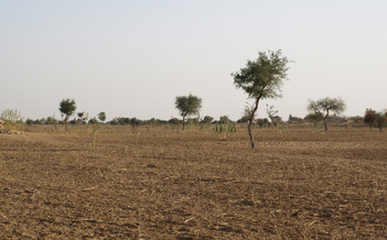 #1: View From Confluence To The South