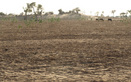 #2: View From Confluence To The West