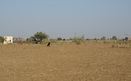 #4: View From Confluence To The East