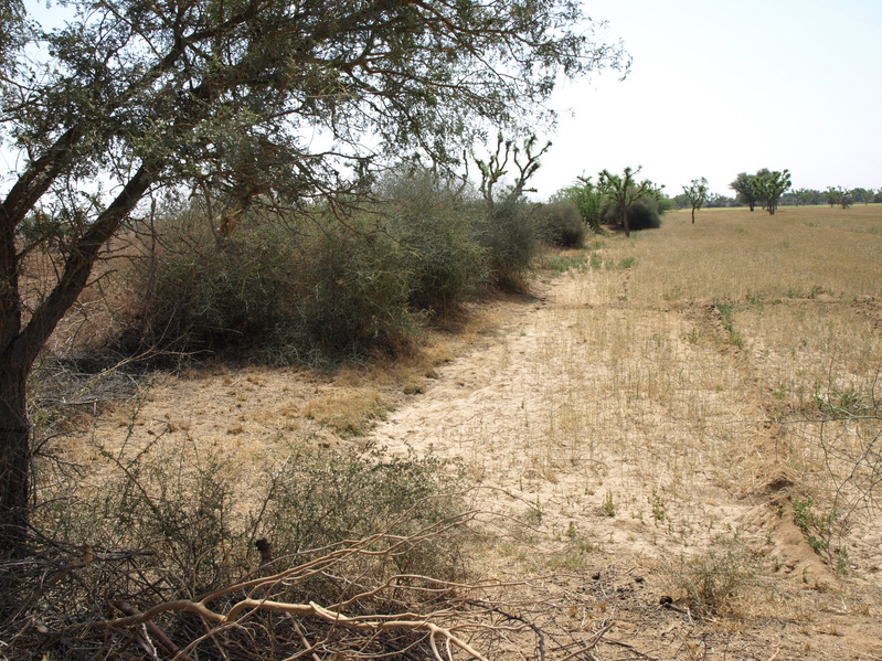 View From Confluence To The South