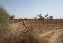 #2: View From Confluence To The East