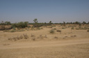 #3: View From Confluence To The North