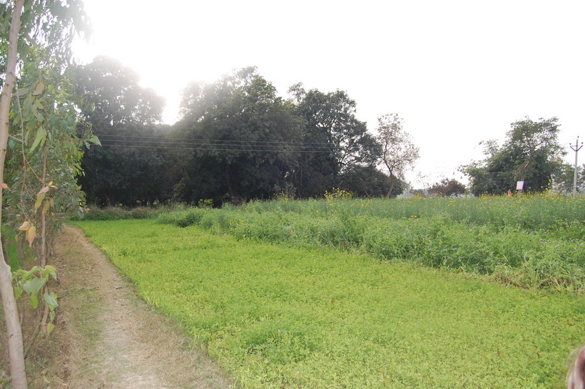 Eastern view from the Confluence Point