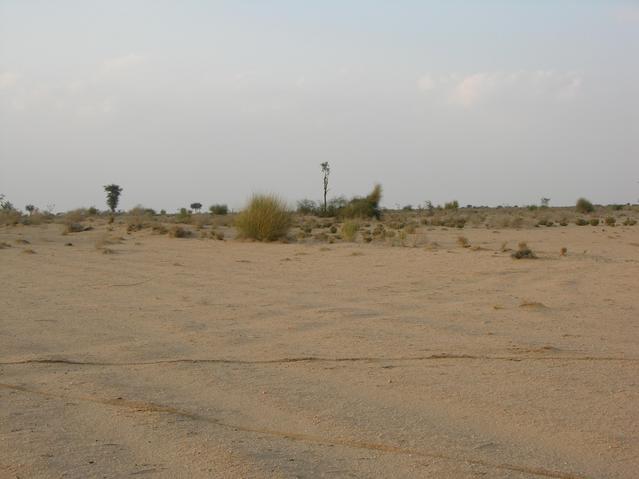 View from the confluence, looking East