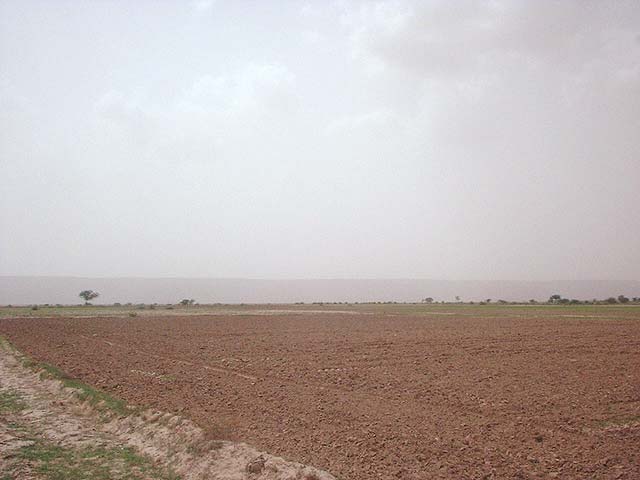 View towards west of confluence