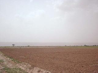 #1: View towards west of confluence