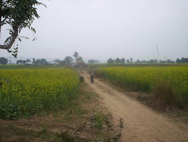 farmers around the confluence