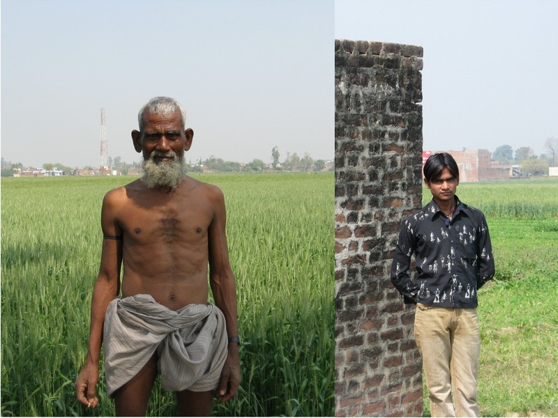 Guardians of the wheat field