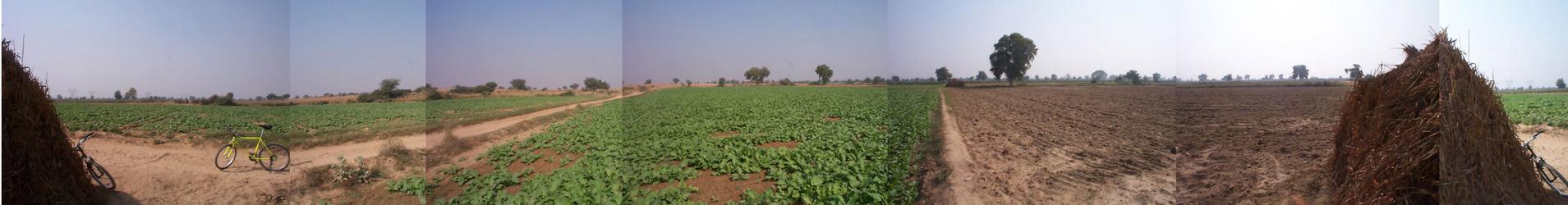 A panoramic view of the fields around the confluence