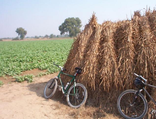 Parking our bikes on the haystack at the confluence site