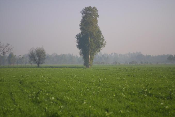 From the confluence: East