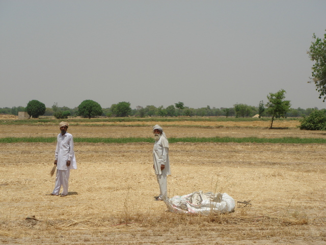 Local wheat farmers were curious about our project.