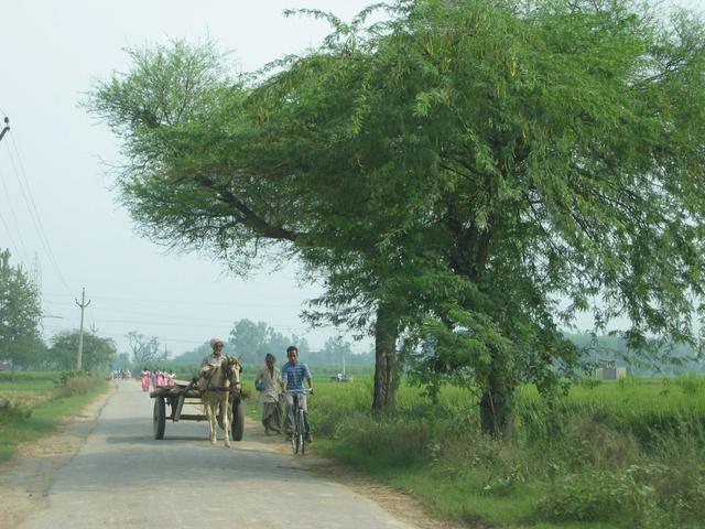 On the road between Dabkheer and Lohara