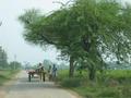 #5: On the road between Dabkheer and Lohara