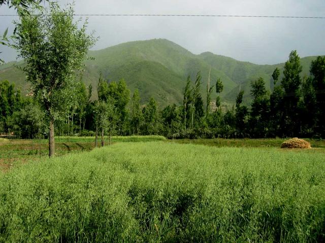 The view to the east, which is obscured by trees in the panoramic photo