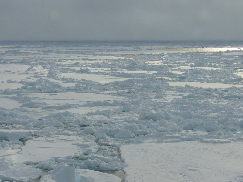 Lots of pressure ridges: a hard task to pass them with a sledge