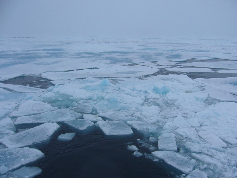 North Pole 10 m ahead after the Confluence Break Dance