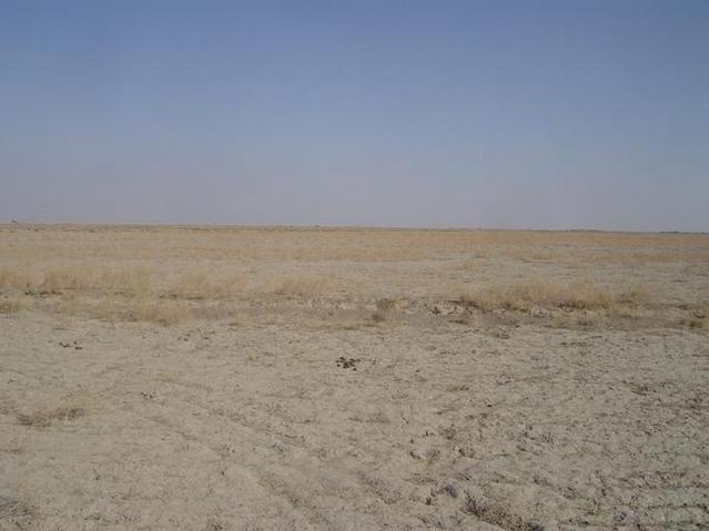 Looking east from the confluence point. The small dark spot on the horizon, just right of center is the Ziggurat Pyramid