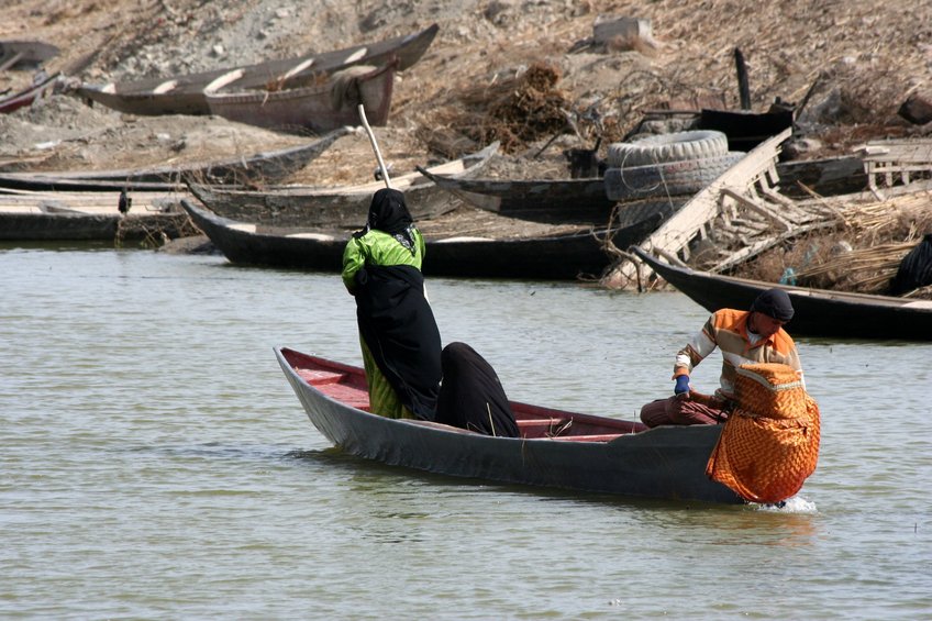 Life on the Marshes