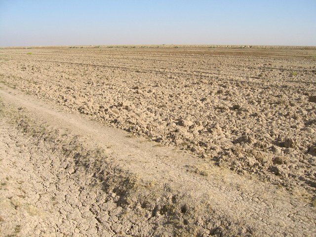 Looking North from the Confluence