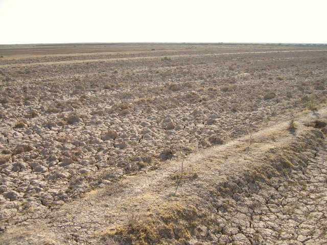 Looking East from the Confluence