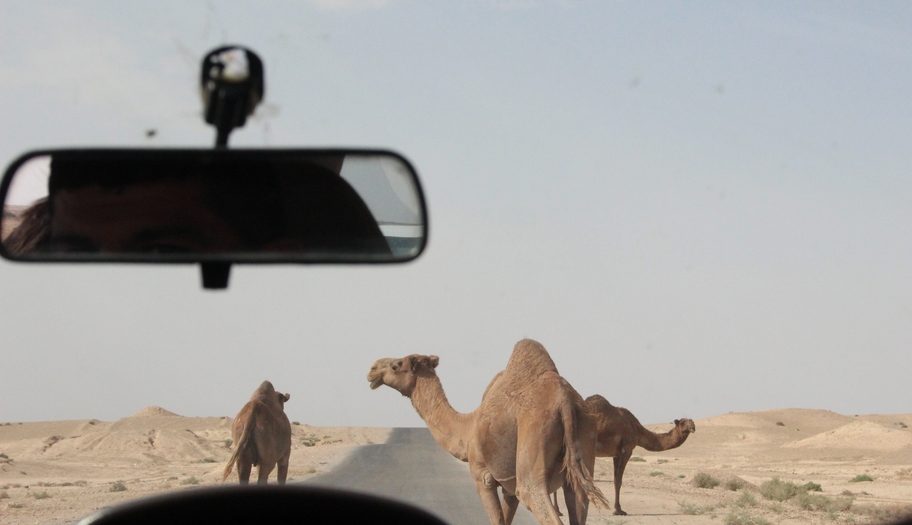 Traffic jam on Badra oil field road