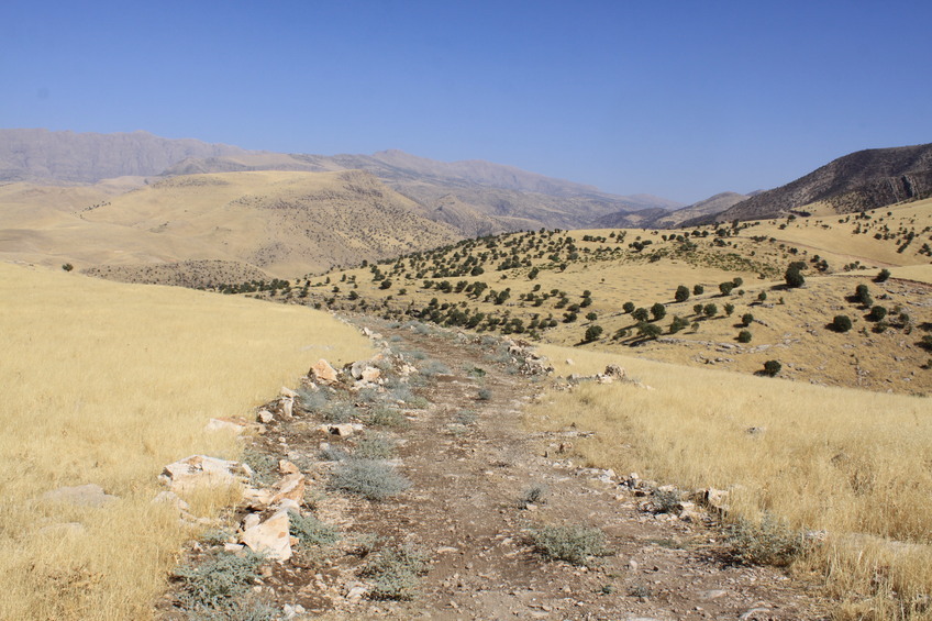 The minimal track leading to the lake