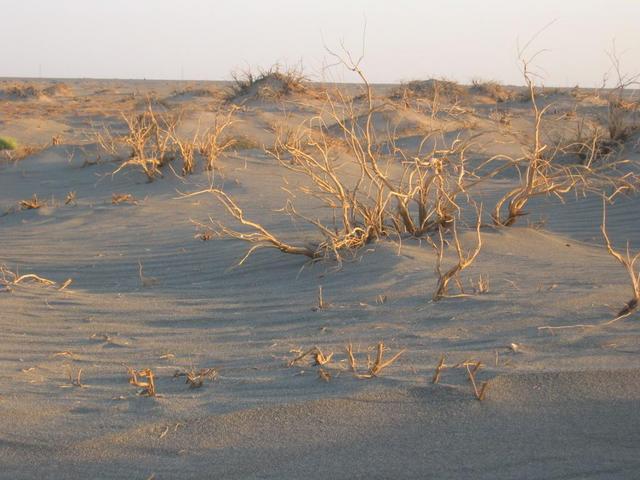 Highest hills near the Confluence